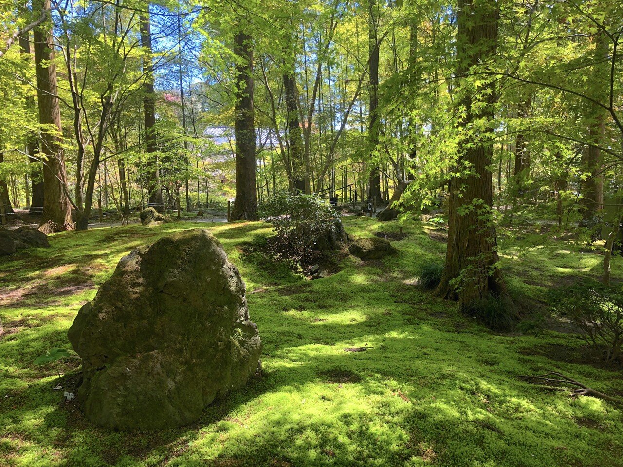 美しい苔の庭 完全版 東日本編 1000箇所以上の日本庭園から厳選して30選んでみた おにわさん Note 美しい苔の庭 完全版 東日本編 1000箇所以上の日本庭園から厳選して30選んでみた おにわさん Note
