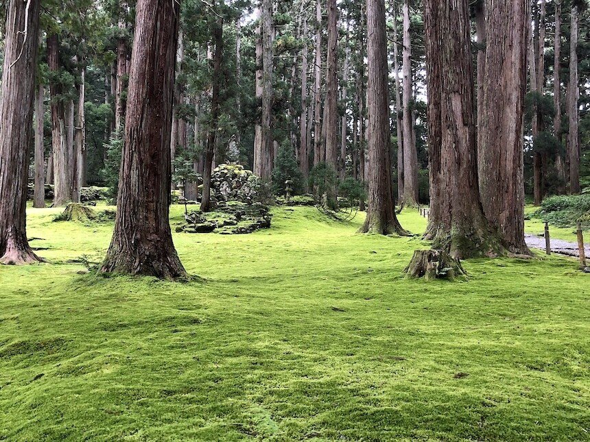 美しい苔の庭 完全版 東日本編 1000箇所以上の日本庭園から厳選して30選んでみた おにわさん Note 美しい苔の庭 完全版 東日本編 1000箇所以上の日本庭園から厳選して30選んでみた おにわさん Note