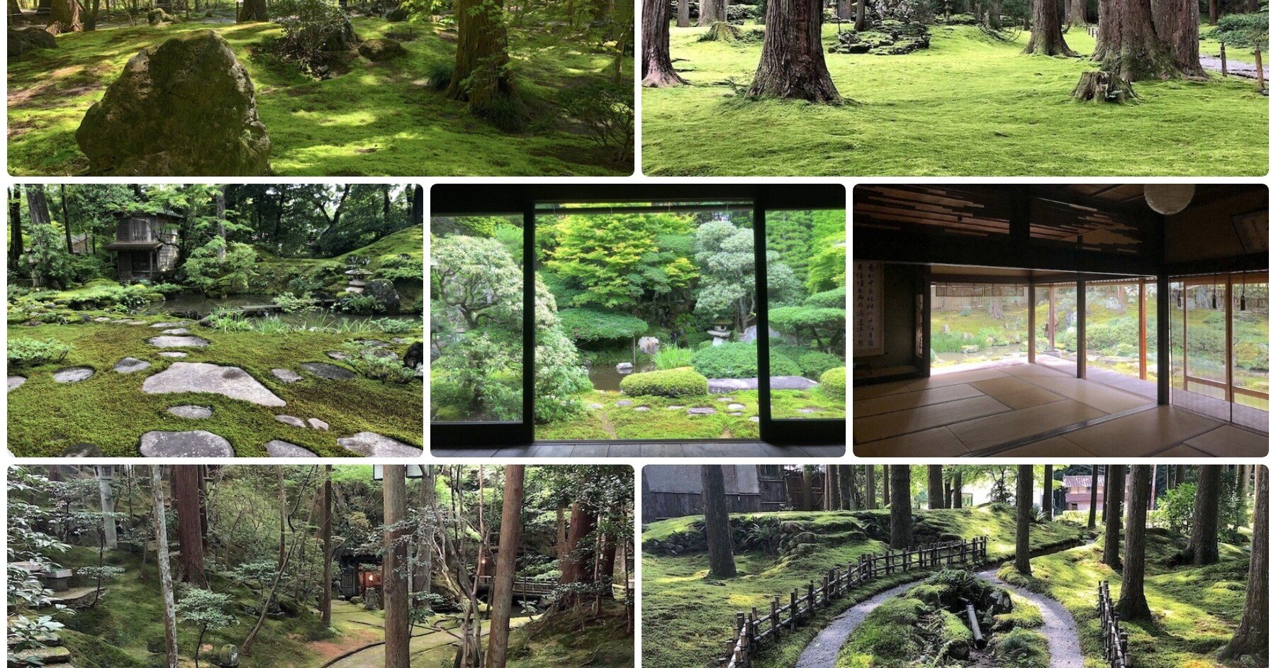 美しい苔の庭】完全版・東日本編。1000箇所以上の日本庭園から厳選して 