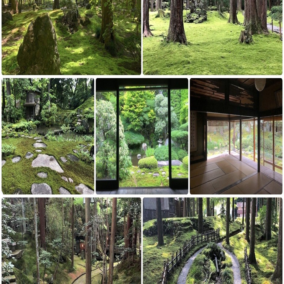 美しい苔の庭 完全版 東日本編 1000箇所以上の日本庭園から厳選して30選んでみた おにわさん Note