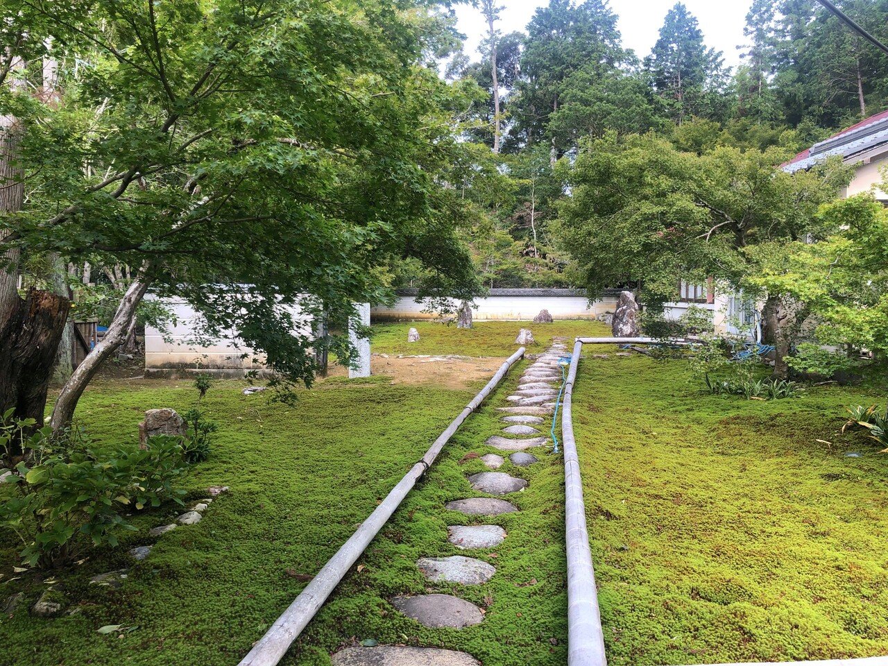 みんなのお薬バリュープライス日局 サフラン 0 9g 3個セット 第３類医薬品