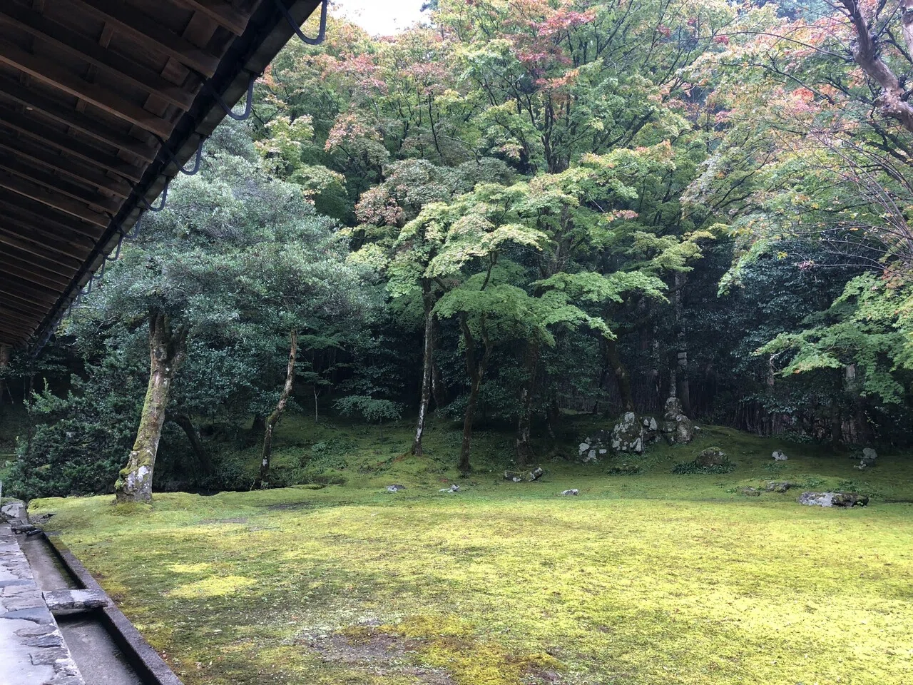 美しい苔の庭 完全版 西日本編 1000箇所以上の日本庭園から厳選して30選んでみた おにわさん Note 美しい苔の庭 完全版 西日本編 1000箇所以上の日本庭園から厳選して30選んでみた おにわさん Note