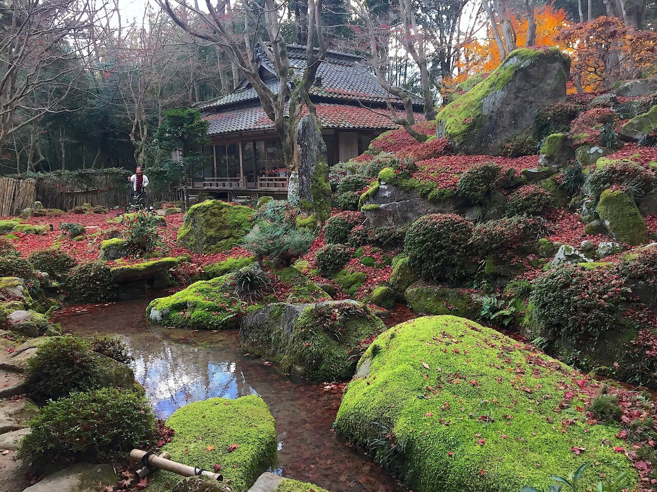 美しい苔の庭】完全版・西日本編。1000箇所以上の日本庭園から厳選して30選んでみた。｜#おにわさん｜note