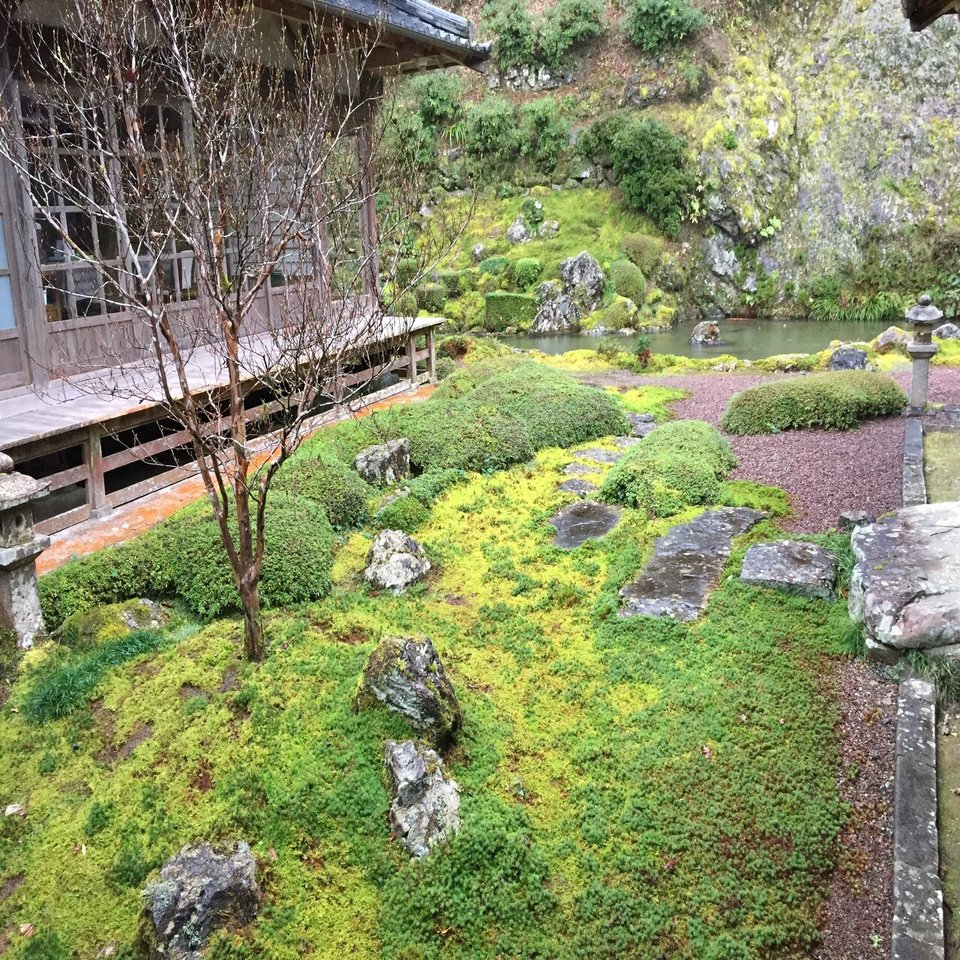 美しい苔の庭 完全版 西日本編 1000箇所以上の日本庭園から厳選して30選んでみた おにわさん Note