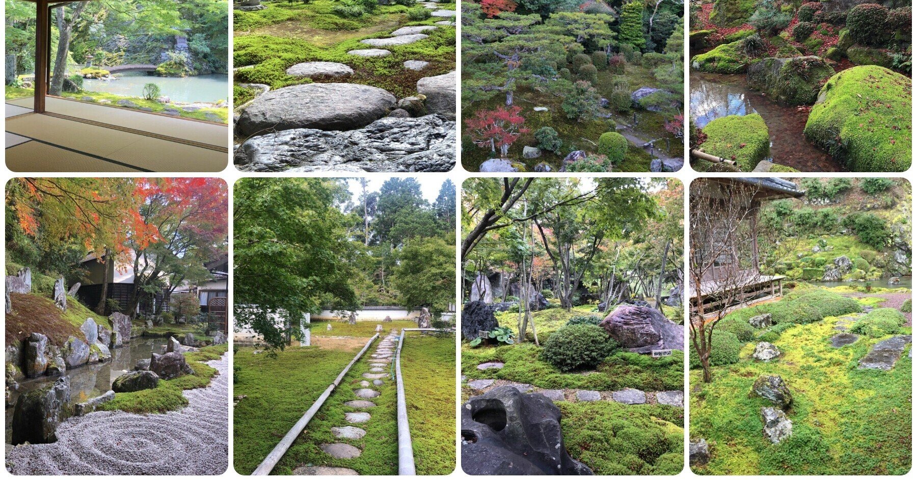 美しい苔の庭】完全版・西日本編。ニードル　ニードルピーリング　ピーリング。1000箇所以上の日本庭園から厳選して 