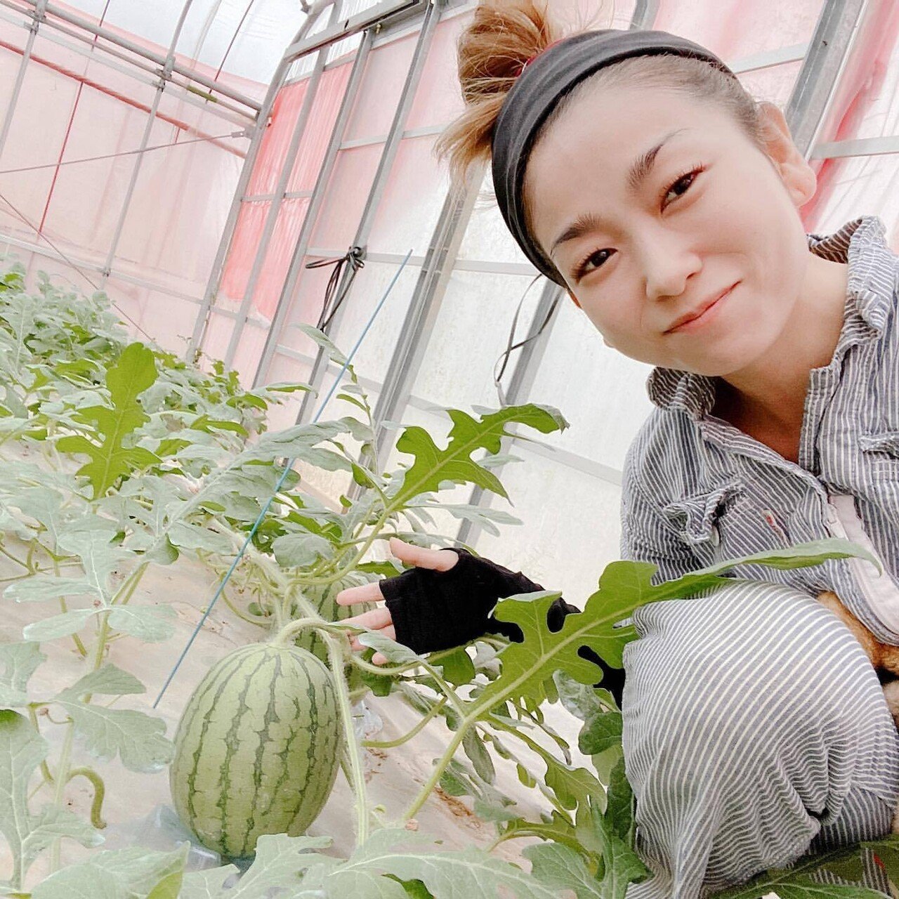 農業女子にインタビュー】沖縄でブランドスイカを生み出した泉穂さんが