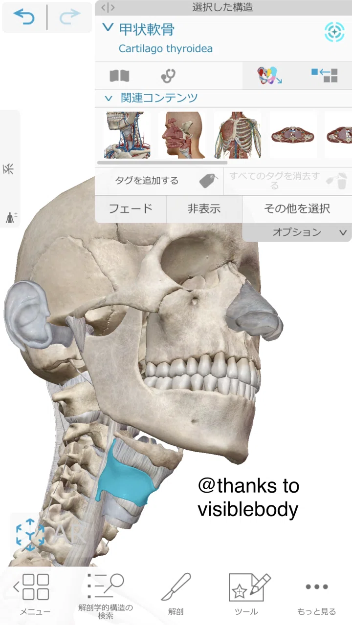 喉仏を動かしやすくするために必要なこと|Taishi Iijima