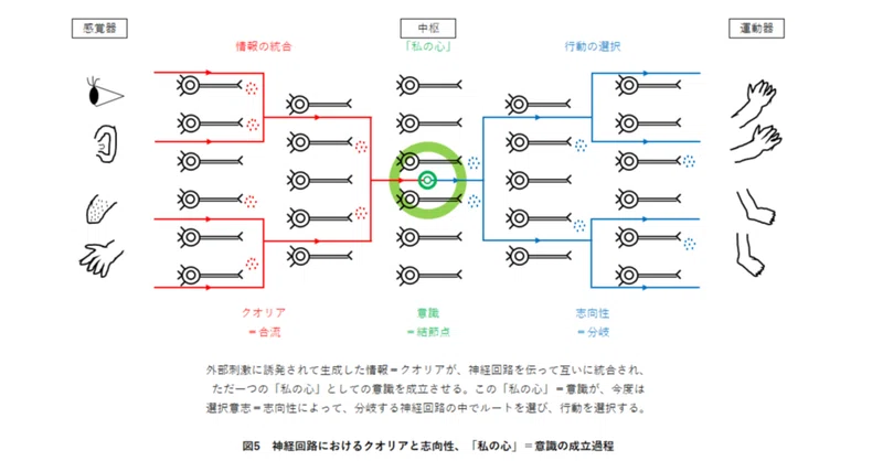 転載 連続ツイート 21世紀の科学革命のアイデア ６ 脳科学編 前編 羽根弘 弘学研 Note