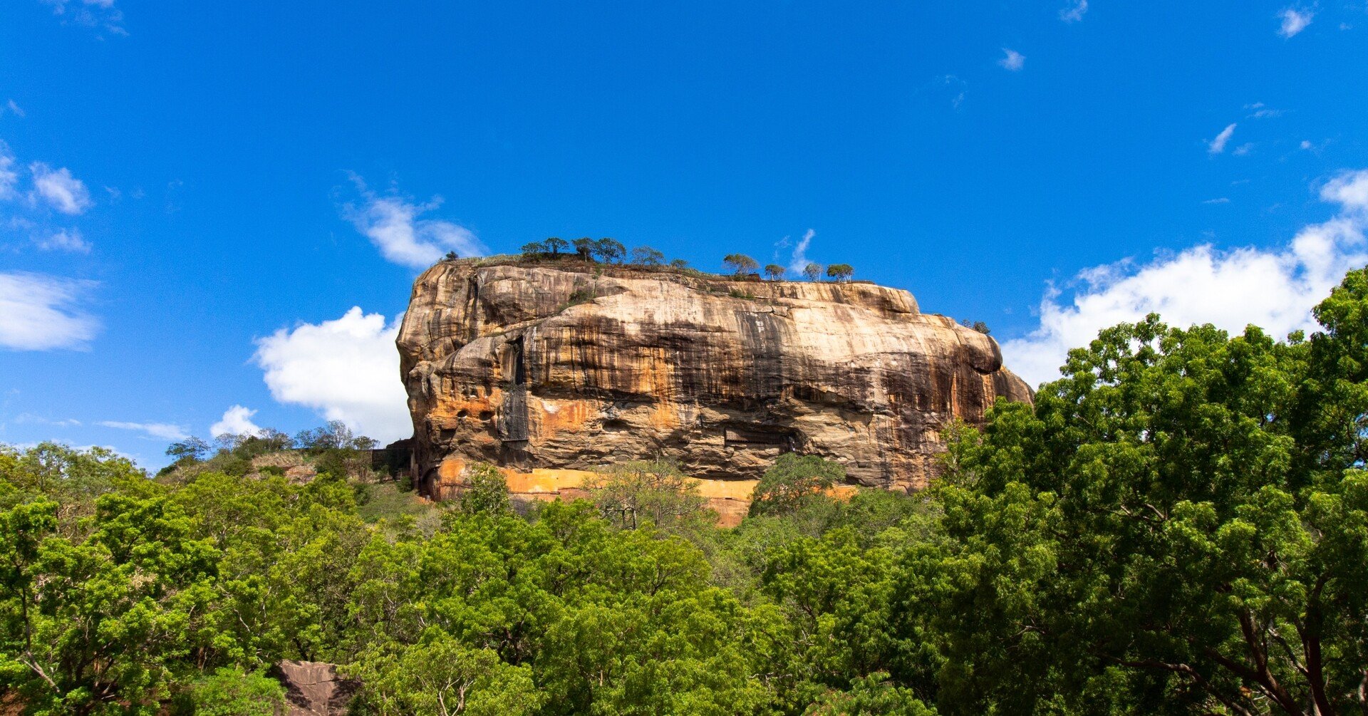 d41aebdf2b96c542c04ba60dc8a4c1