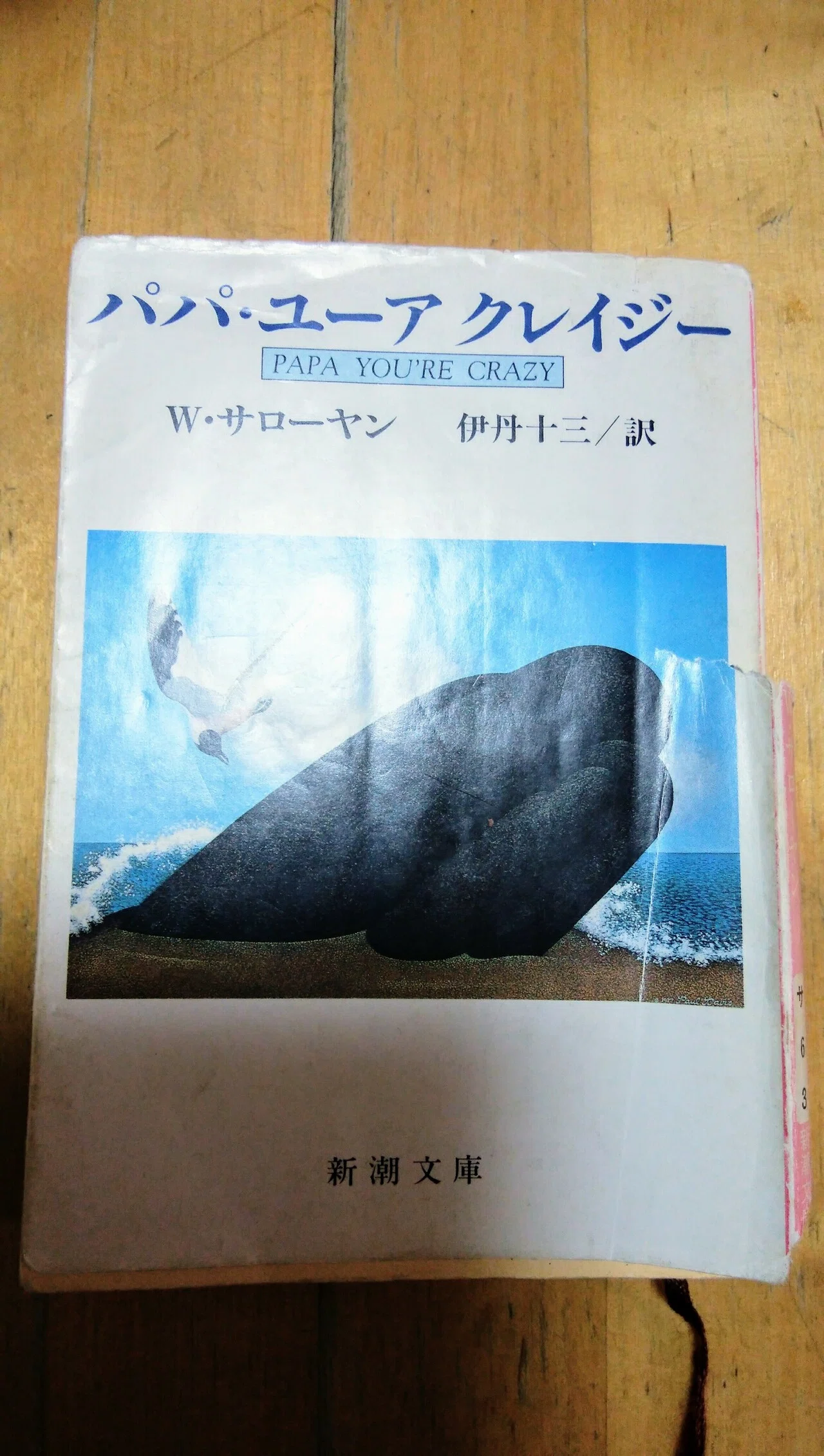 32563609_6