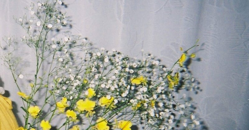 徒然日記 オンシジュームの花言葉 Mana Kana Note 徒然日記 オンシジュームの花言葉 Mana Kana Note