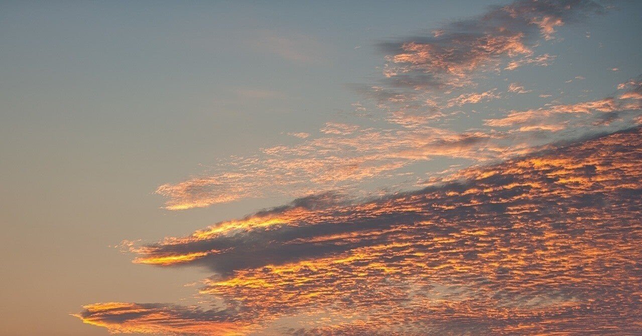 アニメ 約束のネバーランド 第2期の感想 少々ネタバレも含みます ぴょこ Note