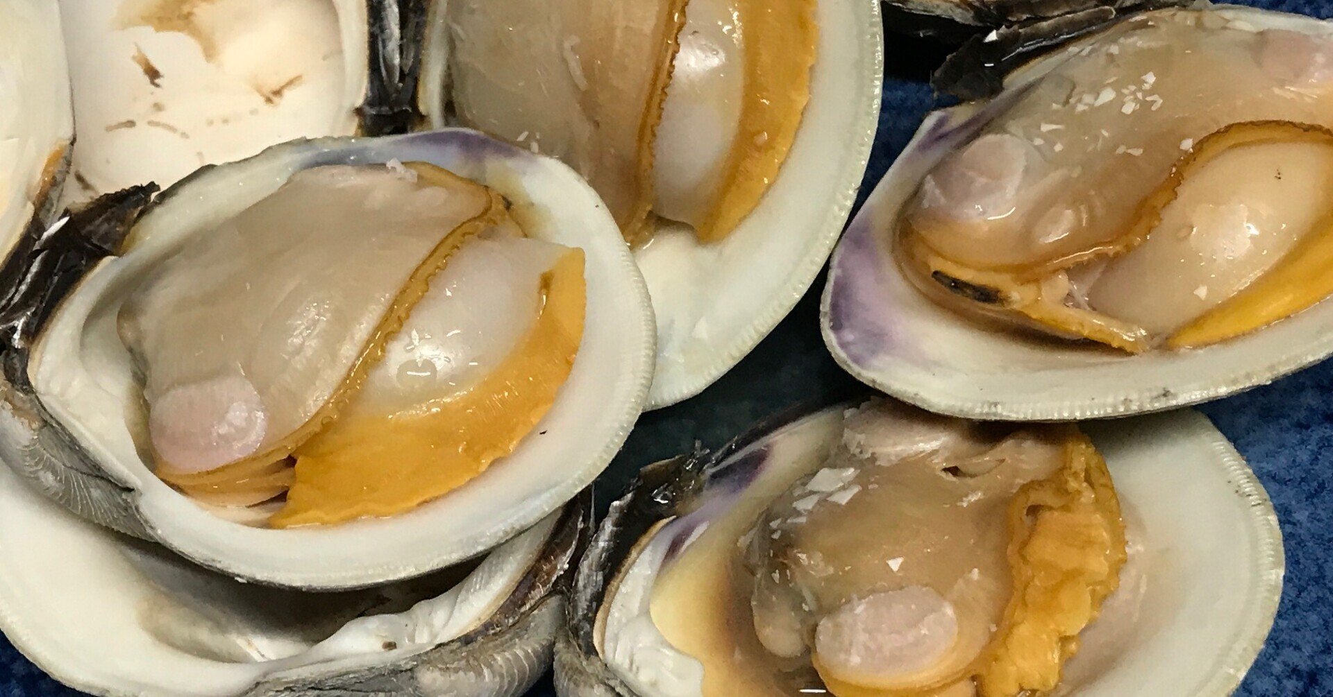 ホンビノス貝を食す 飯野 修 Note ホンビノス貝を食す 飯野 修 Note