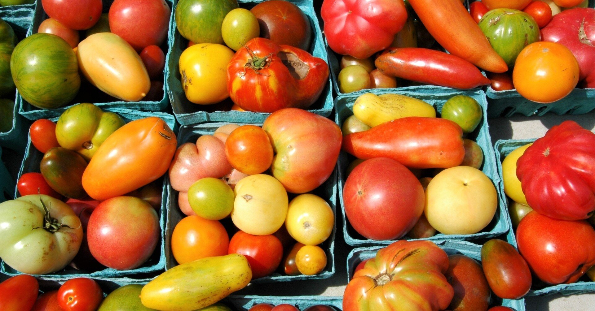 トマトとメロン やまだ 明香里 Note