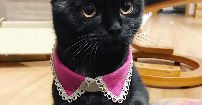 猫のお洒落なつけ襟 Hiroko Sewing Co ミンネ作家 Note