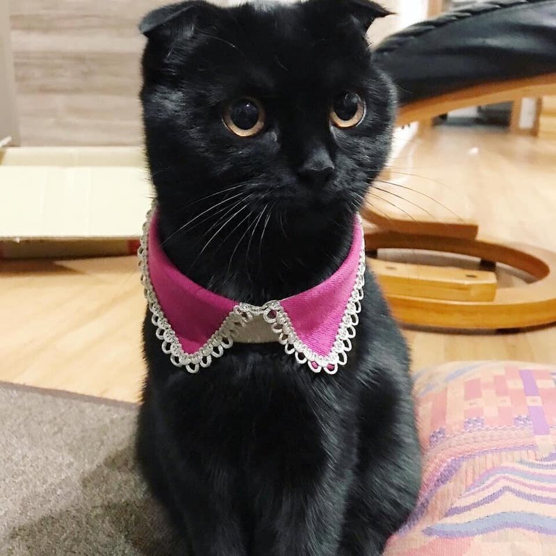 猫のお洒落なつけ襟 Hiroko Sewing Co ミンネ作家 Note