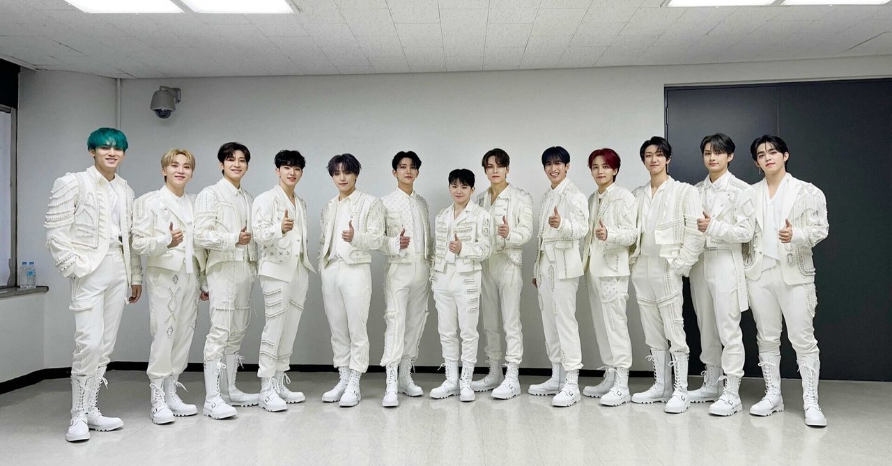 SEVENTEEN ウォヌ FML Heaven carat ver バインダー トレカ 28枚