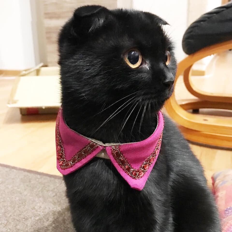 猫のお洒落なつけ襟｜ハンドメイド作家 Hiroko