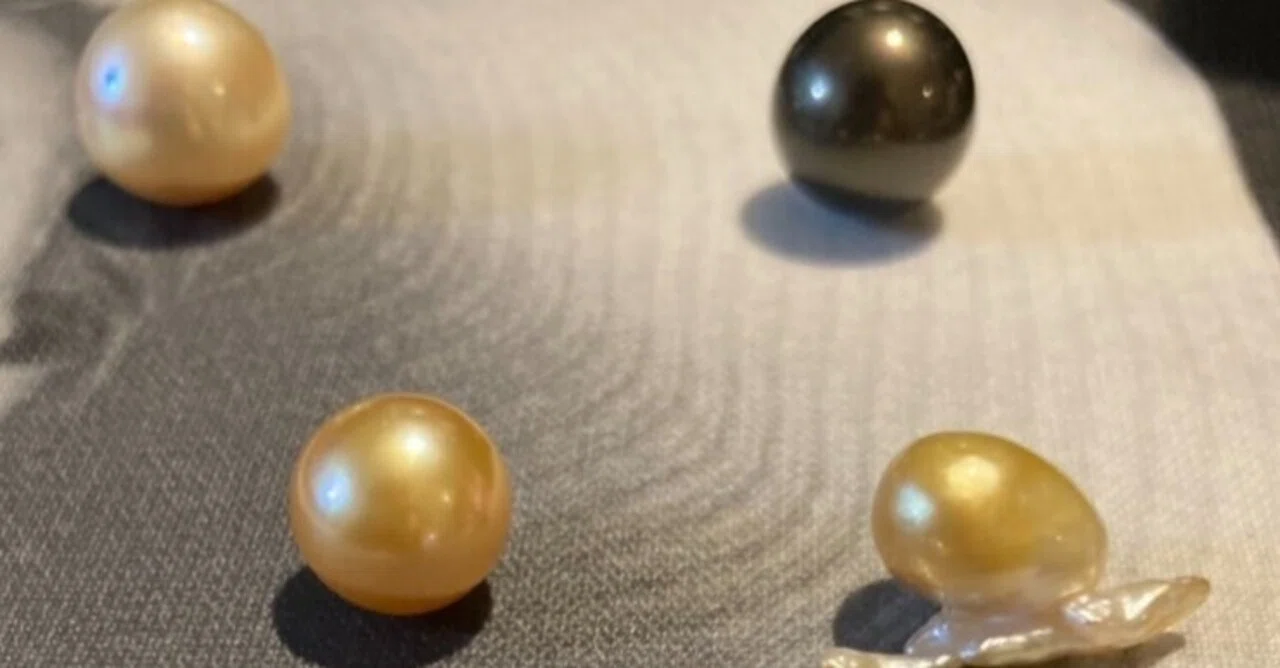 〇世界で採れる真珠のいろいろ〇｜Riena ‐ 大人のためのジュエリー