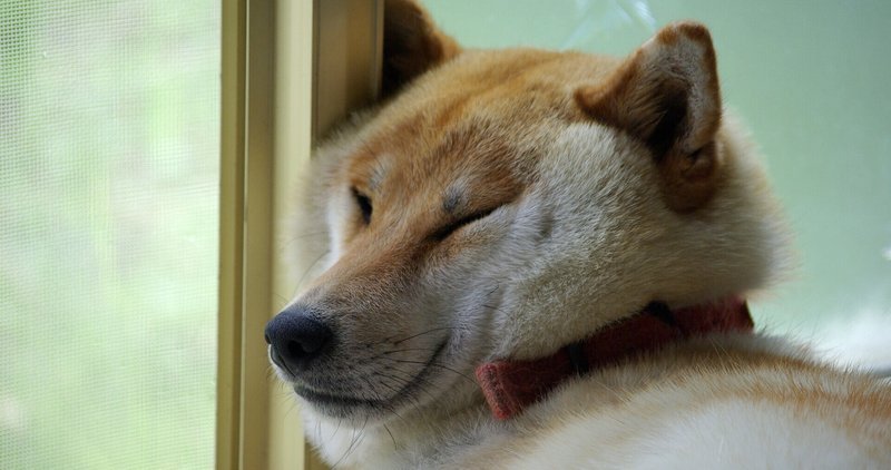 ゲームしながら寝落ちしたら大変なことになるよね クラクラ ヘイデイ スッピ Note