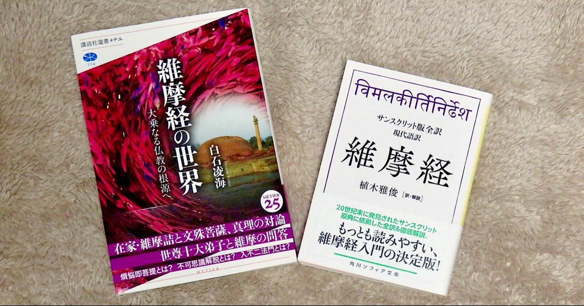 白石凌海『維摩経の世界』｜KAZE