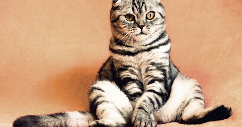 自分の性格は悪い と悩んでいる人たちへ さきぽん 乃木坂 本やドラマの感想 note