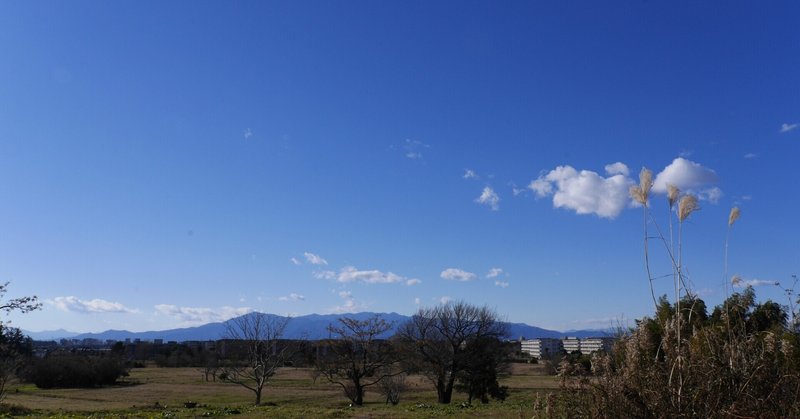 森と散歩と山々