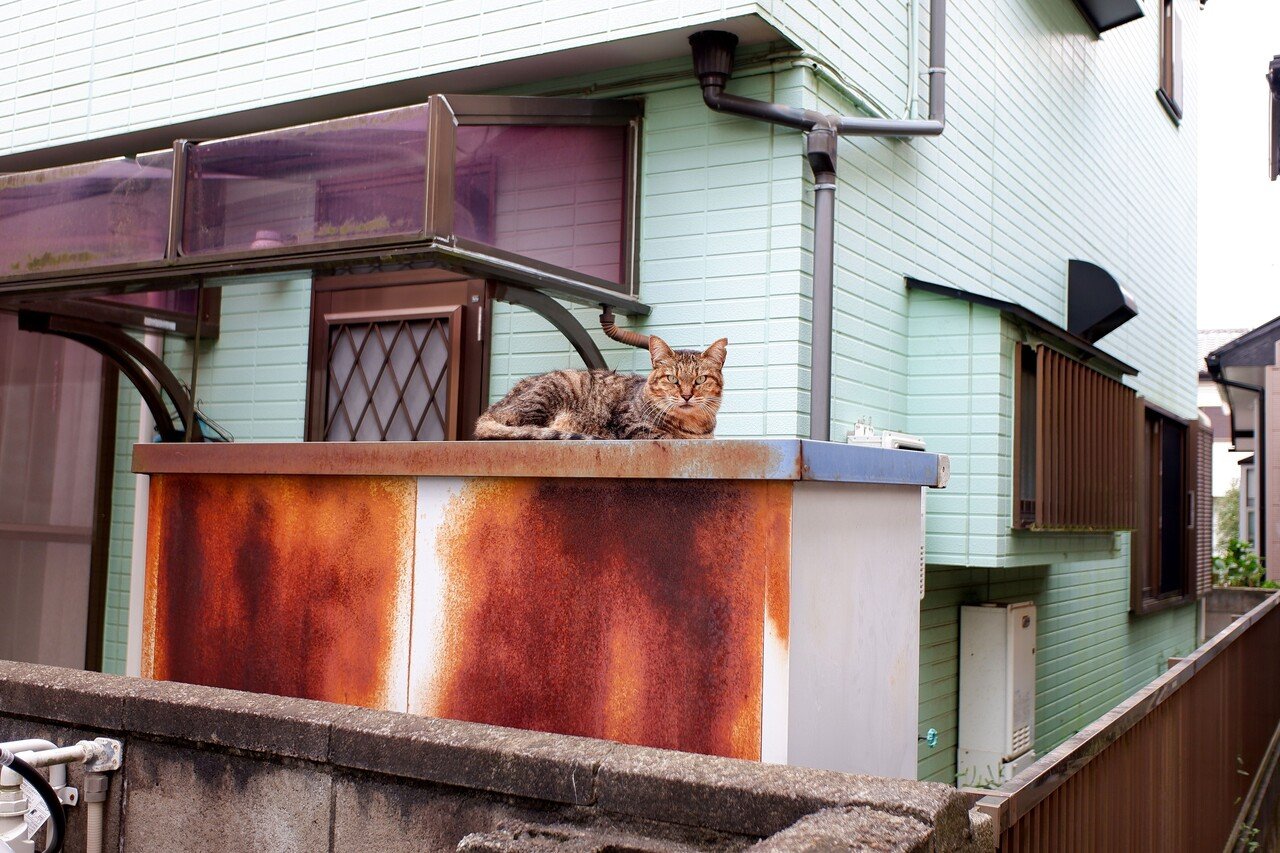 独立して11年 あっという間に退職金がなくなり その後は仕事もなく困窮 マンション売却 基盤の仕事以外に釣具店バイト 生保代理店 廃業 カルチャースクール講師 衆 参選挙補助 手話通訳 男女共同参画事 消雲堂 しょううんどう Note