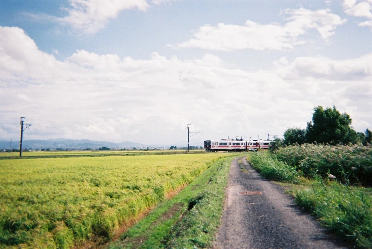 画像6