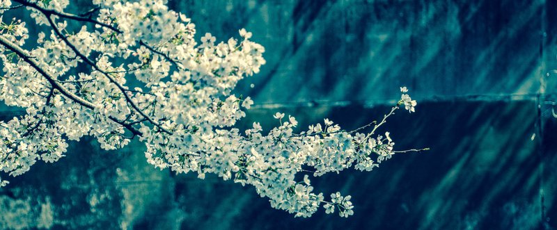 花緑青 なかにし 藤宮ニア Note