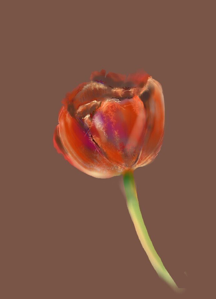 チューリップ おとや Note