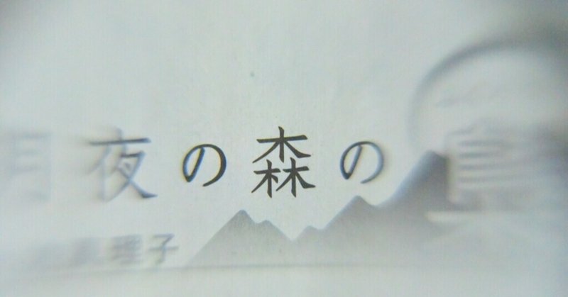月夜の森の梟 Yamawakisan Note 月夜の森の梟 Yamawakisan Note