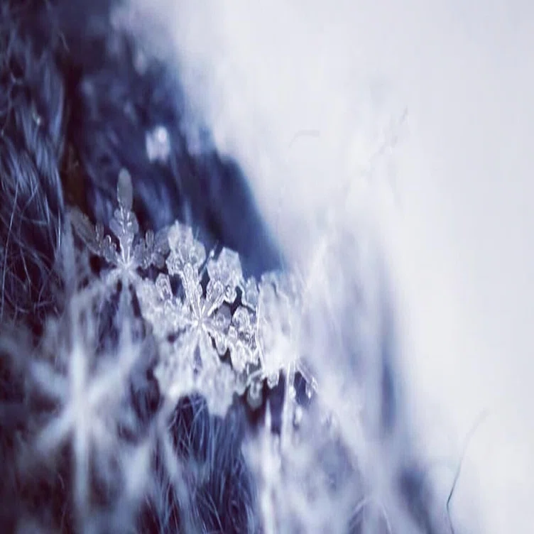 雪の結晶撮ってみたーーーっ！｜エディ