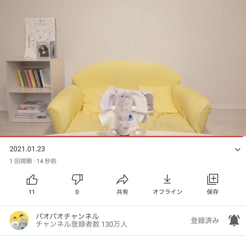 パオパオチャンネルと再会｜ハル