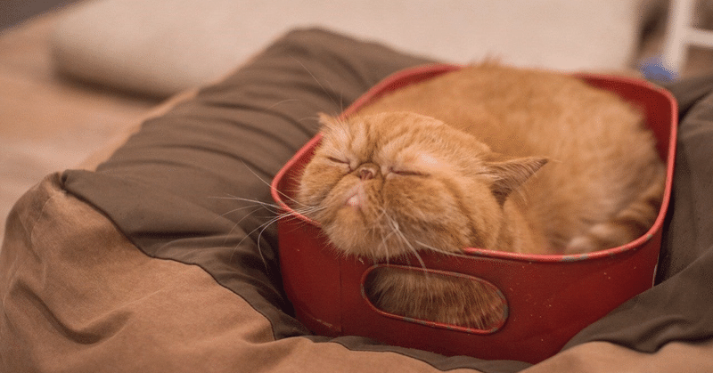 ふくまる の新着タグ記事一覧 Note つくる つながる とどける