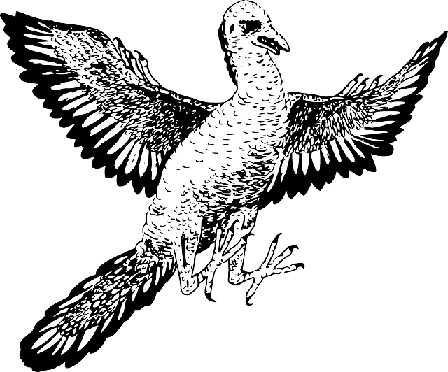 飛べる可能性 を発見して 最初に飛んだ ファースト始祖鳥 になりたい 田原真人 Note 飛べる可能性 を発見して 最初に飛んだ ファースト始祖鳥 になりたい 田原真人 Note