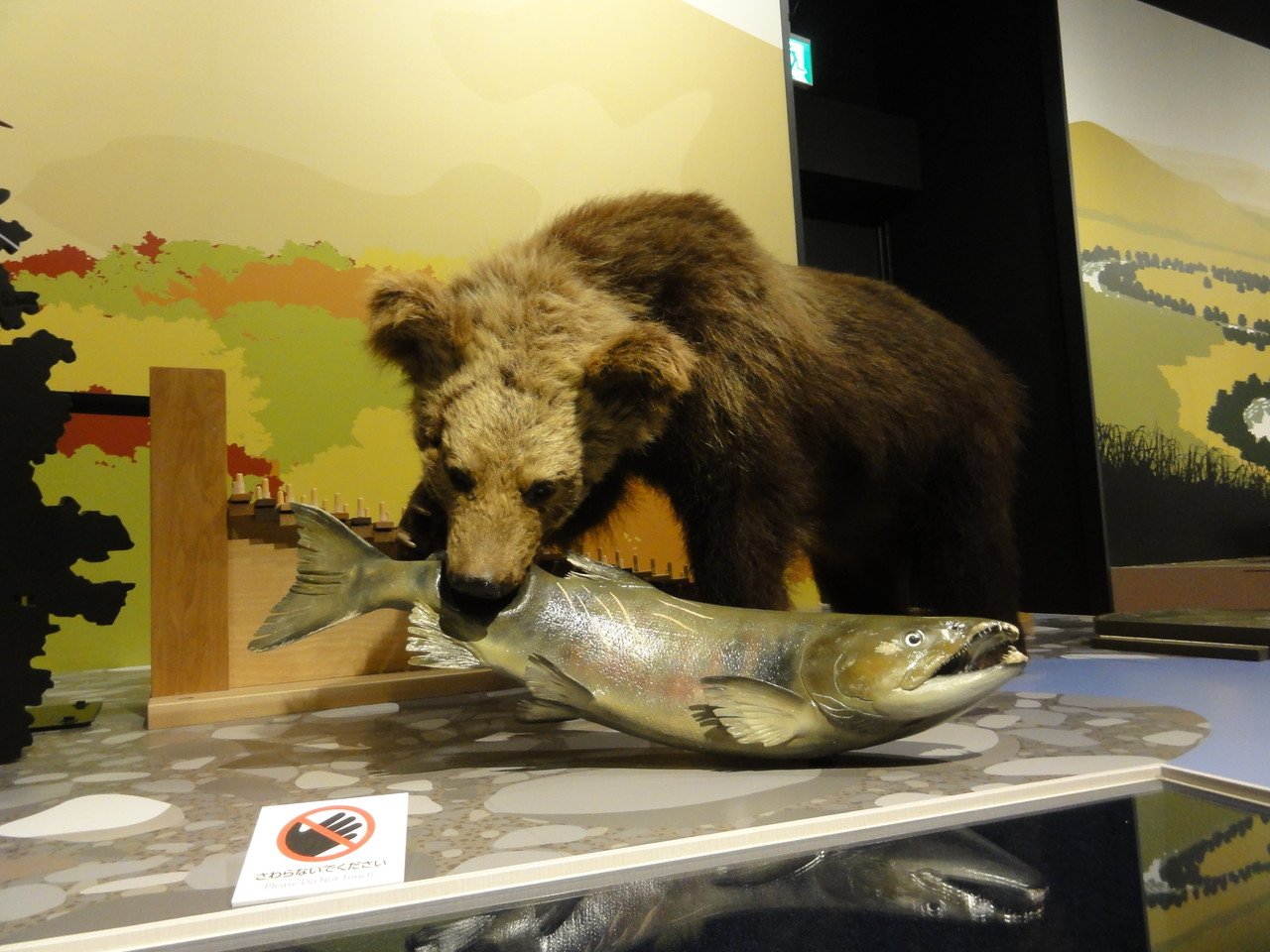 こんな場面を見るとヒグマは肉食動物と思いますが 主にドングリを食べる雑食性だそうです 森のドングリが不作 の年は山から降りてて農家の畑を荒らすこともあります ヒグマに出会ったら怖いですが やたら ナランチャ Note こんな場面を見るとヒグマは肉食動物と思いますが 主にドングリを食べる雑食性だそうです 森のドングリが不作 の年は山から降りてて農家の畑を荒らすこともあります ヒグマに出会ったら怖いですが やたら ナランチャ Note