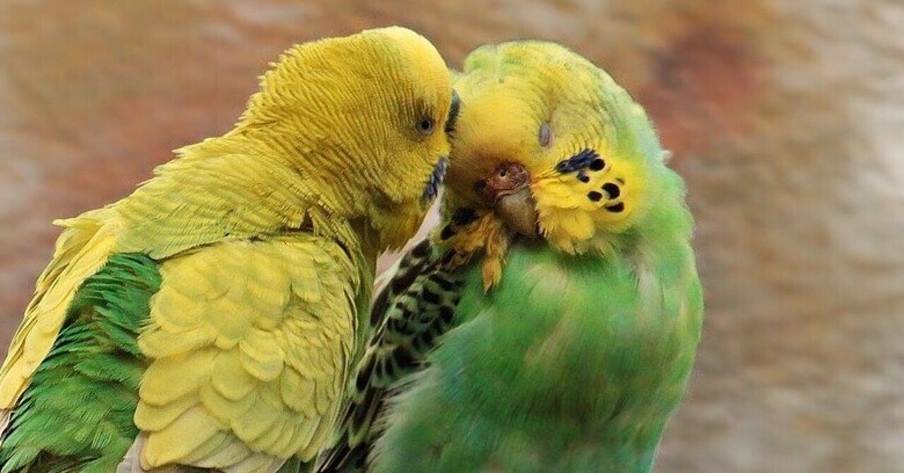 愛される人の特徴 kaorin note