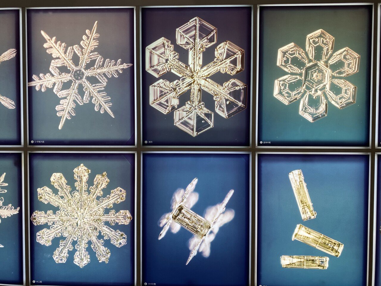 中谷宇吉郎の科学観□r4 中谷宇吉郎の科学観r4 中谷宇吉郎 雪