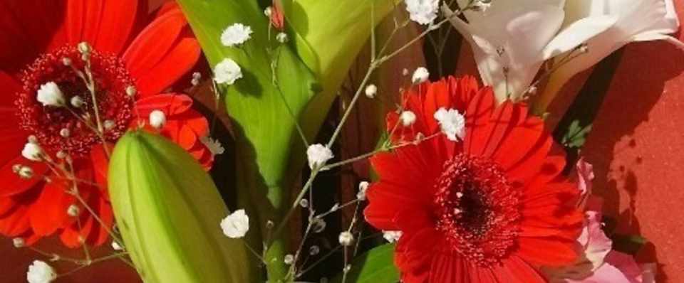 ユニークアゼリア 花屋 すべての美しい花の画像