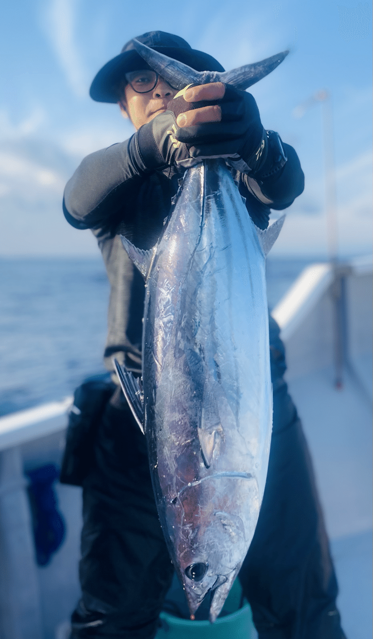 カツオ1本釣り船 しゃくり Www Vetrepro Fr カツオ1本釣り船 しゃくり Www Vetrepro Fr
