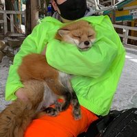 花坂もみじ Note