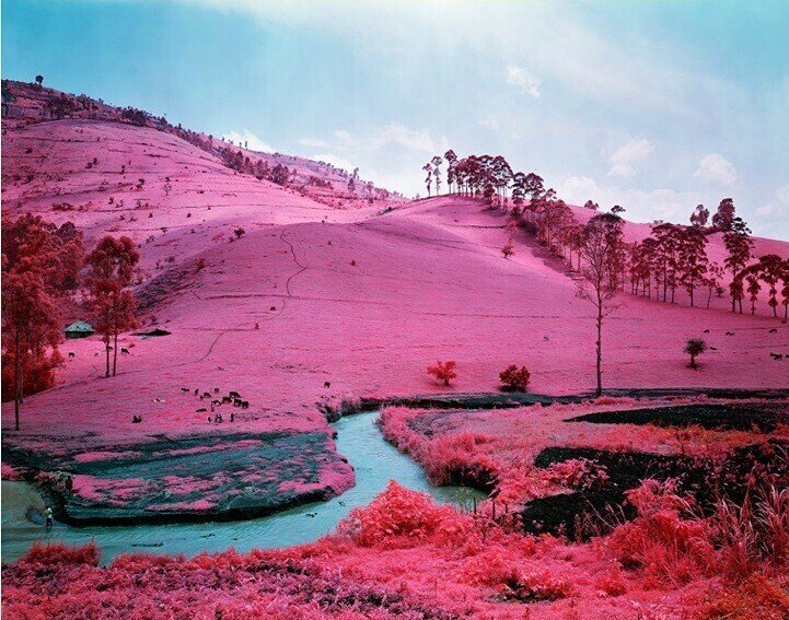 Richard Mosse リチャード・モス 写真集 リチャード・モス／Richard Mosse | IMAPEDIA | IMA ONLINE