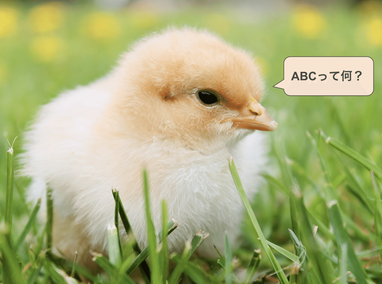 コンプレックスの塊だった私が自己肯定感の塊になるまで 近藤英恵 コンドウハナエ Note コンプレックスの塊だった私が自己肯定感の塊になるまで 近藤英恵 コンドウハナエ Note