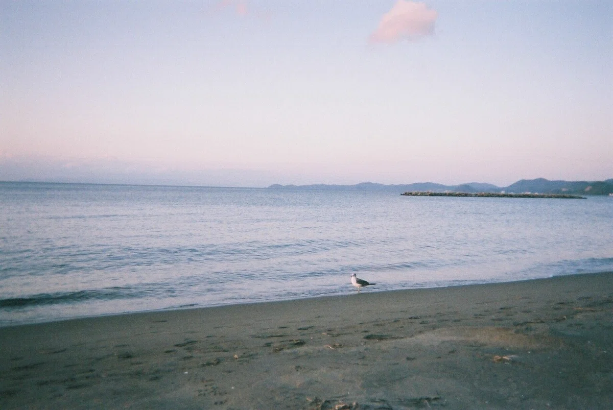 画像12