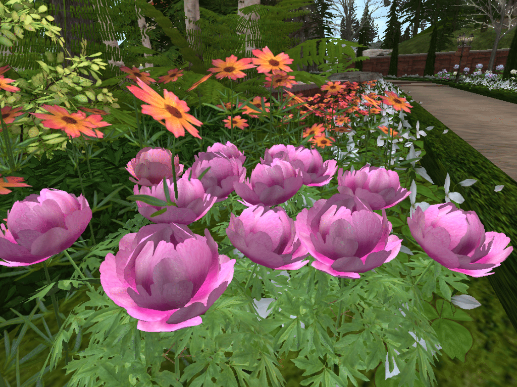 背景をボカした写真(被写界深度)｜Hiro Treves