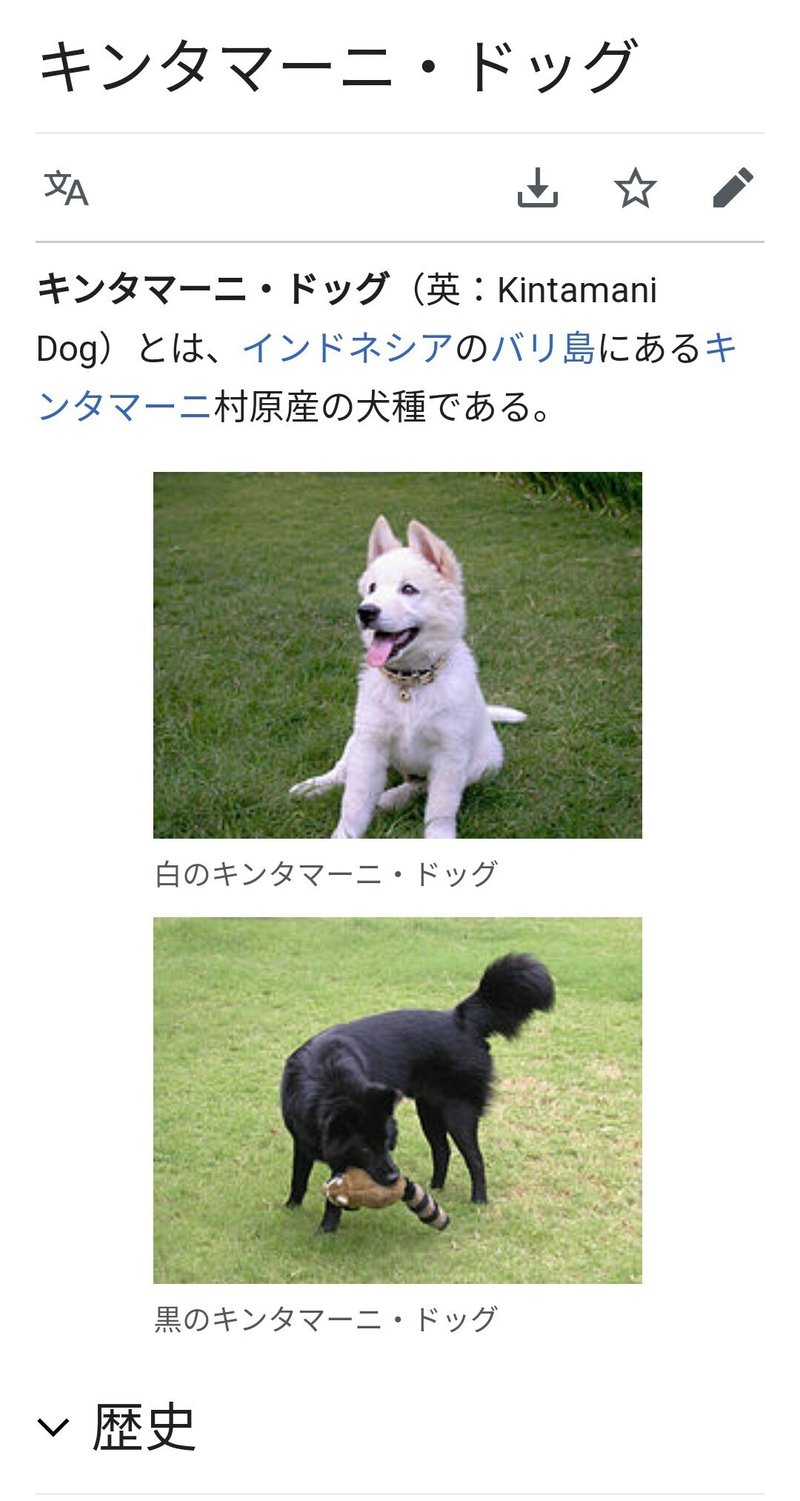 キンタマーニドッグ の新着タグ記事一覧 Note つくる つながる とどける