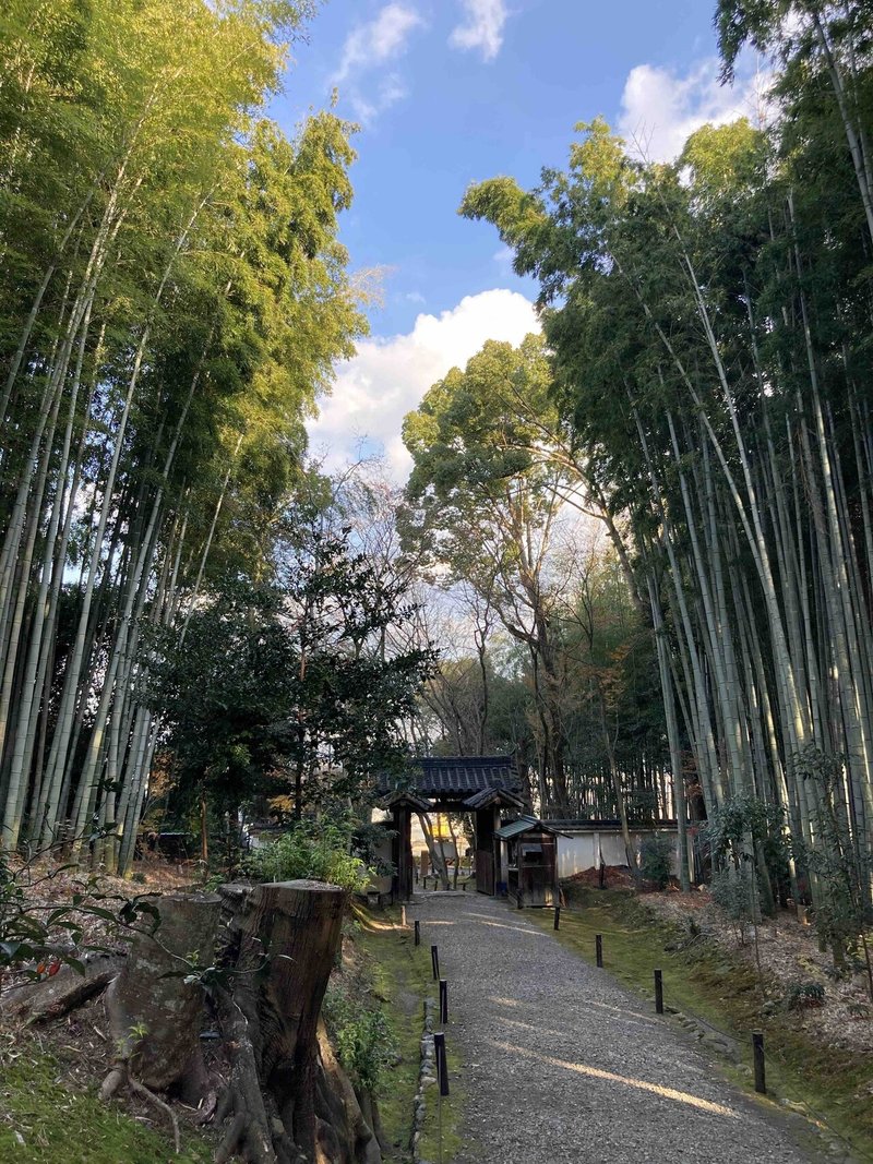 一休さんを守った 地蔵院a K A 竹の寺 Mariina Note 一休さんを守った 地蔵院a K A 竹の寺 Mariina Note