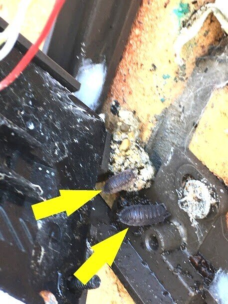 明け方の怪奇現象 誰もいないのに玄関のインターホンが鳴る おおにわなつお Note