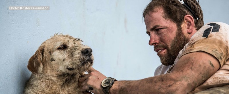 野良犬たちを救うために執筆。著者の野良犬救助活動。『ジャングルの極限レースを走った犬 アーサー』（発売中）特集５